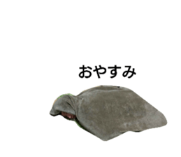 293413896