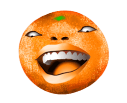 293457035
