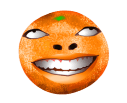 293457036