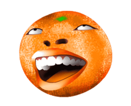 293457038