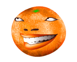 293457041
