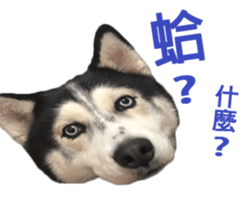 293468469