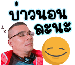 293473900