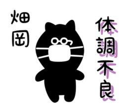 29349781
