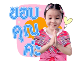 293503411