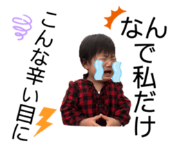 293509380