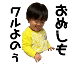 293511228