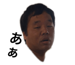 293518229
