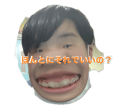 293521813