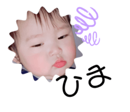 293527221