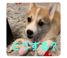 293530348
