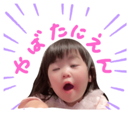 293597566