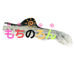 293599962