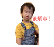 293603694