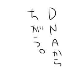 293632066