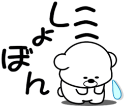 293648885