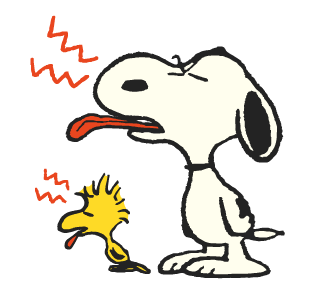 Snoopy ยุค 70's รูปที่ 15