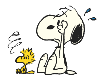 Snoopy ยุค 70's รูปที่ 20