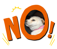293692107