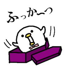 293702510