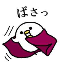 293702511