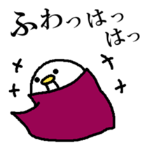 293702512