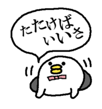 293702524