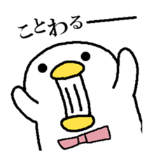293702530