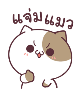 แมวเต้าหู้ ดุ๊กดิ๊ก 3 รูปที่ 3