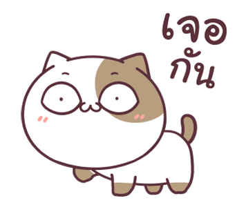 แมวเต้าหู้ ดุ๊กดิ๊ก 3 รูปที่ 5