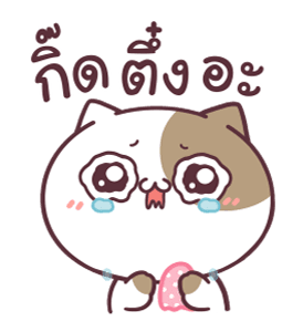 แมวเต้าหู้ ดุ๊กดิ๊ก 3 รูปที่ 12