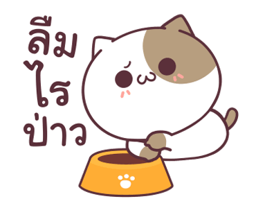 แมวเต้าหู้ ดุ๊กดิ๊ก 3 รูปที่ 14