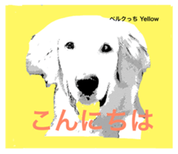 29376284