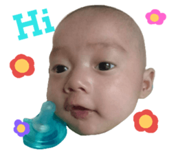 29377992