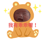 293790653