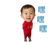 293819666