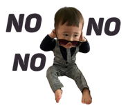 293819667