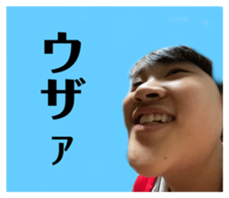 293826509