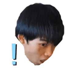 293829005