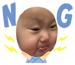 293833653