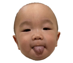 293837424
