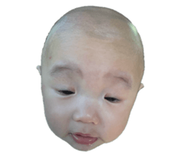 293837433