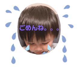 293845504