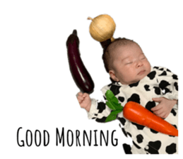 293848838