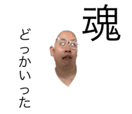 293855380