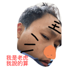 293887600
