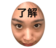 293902801