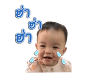 29393099