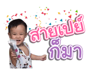 29393113