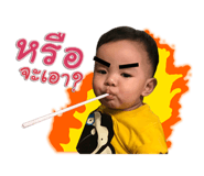 29393115